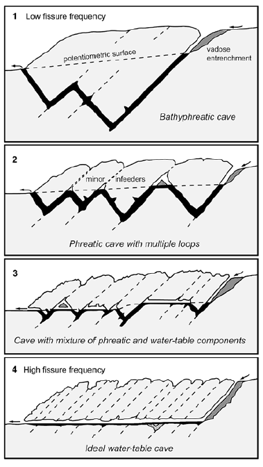 Kapittel 4 TEORI 4.5 Fords 4 fase modell Figur 14 viser den kjente 4 fase modellen til Ford (1971), som viser mulige grottepassasjer basert på initial sprekkefrekvens.