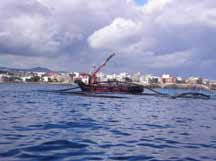 Cleaning of shellfish in practice