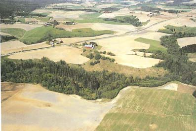 Slam i jordbruket Slam brukes først og fremst som jordforbedringsmiddel i korndistriktene Slamtilførsel 2 tonn TS/daa: 15-70 kg /daa Kornavling fjerner: ~ 1,5-2 kg /daa Fosfor i jord: