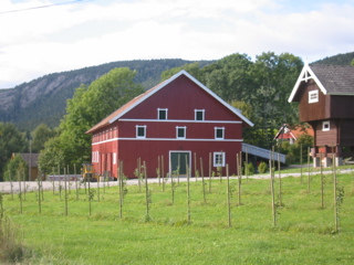 Stortingsmelding nr 19 (1999-2000): Om norsk landbruk og matproduksjon > Produsere helsemessig trygg mat av høg kvalitet med bakgrunn i forbrukarane sine preferansar > Produsere andre varer og