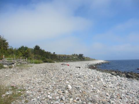 Landskapsanalyse Jomfruland nasjonalpark 23 Verdikriterier * ** *** **** ***** Begrunnelse Mangfold og variasjon x Variert delområde med svaberg, rullesteinstrand og beiter innrammet av frodig