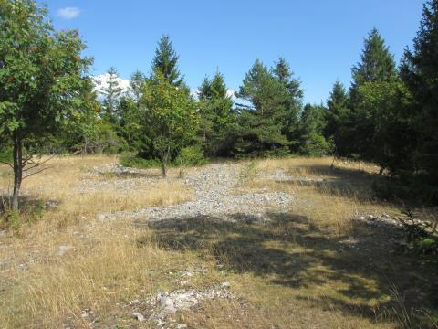 Landskapsanalyse Jomfruland nasjonalpark 25 Verdikriterier * ** *** **** ***** Begrunnelse Mangfold og variasjon x Landskapet er relativt lite variert. Noen synlige strandvoller.