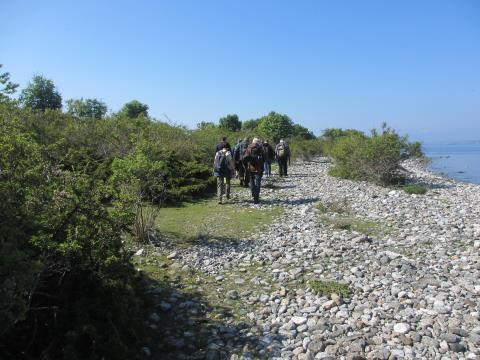 Landskapsanalyse Jomfruland nasjonalpark 27 Verdikriterier * ** *** **** ***** Begrunnelse Mangfold og variasjon x Landskapet er enhetlig, men danner en mosaikk med ulike markdekker Tidsdybde og