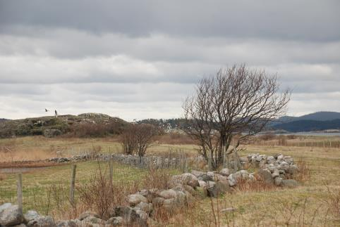 Landskapsanalyse Jomfruland nasjonalpark 38 Verdikriterier * ** *** **** ***** Begrunnelse Mangfold og variasjon x Relativt ensartet landskap med hytter omgitt av krattvegetasjon Tidsdybde og