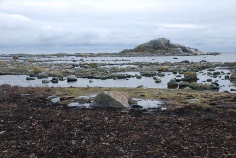 Landskapsanalyse Jomfruland nasjonalpark 39 6.2.