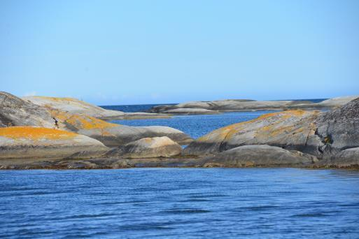 Landskapsanalyse Jomfruland nasjonalpark 48 Stangnes er det eneste landfaste området som inngår i utredningsområdet.