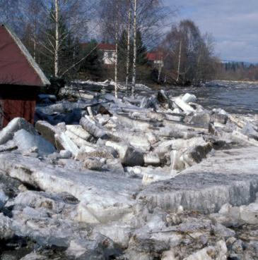 Kva skal vi tilpasse oss? Fleire og større lokale intense nedbørepisodar til alle årstider, dvs.