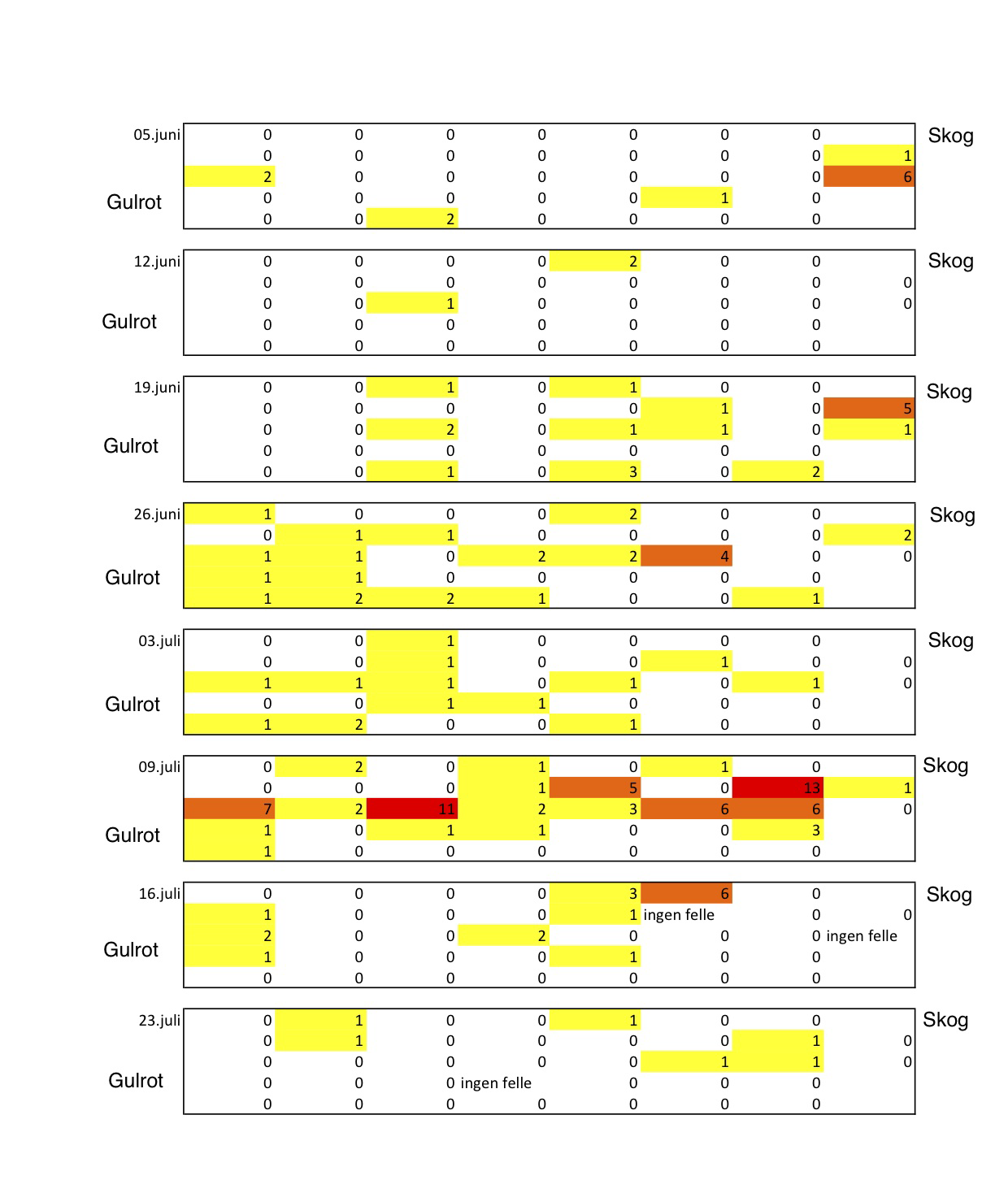 Figuren over viser fangsten av gulrotsugere fra 5. juni til 23. juli på de 37 limfellene som var lagt ut i en grid. Hver firkant representerer grid-en for en dato.