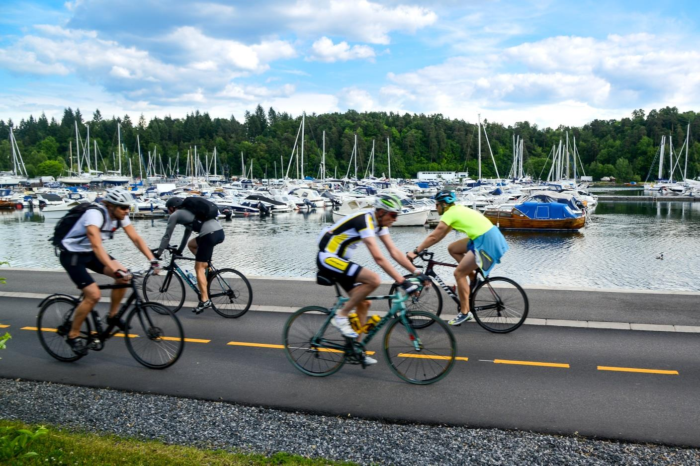 Kapittel 7 - Restriktive tiltak, støy og holdninger til elbil 7.