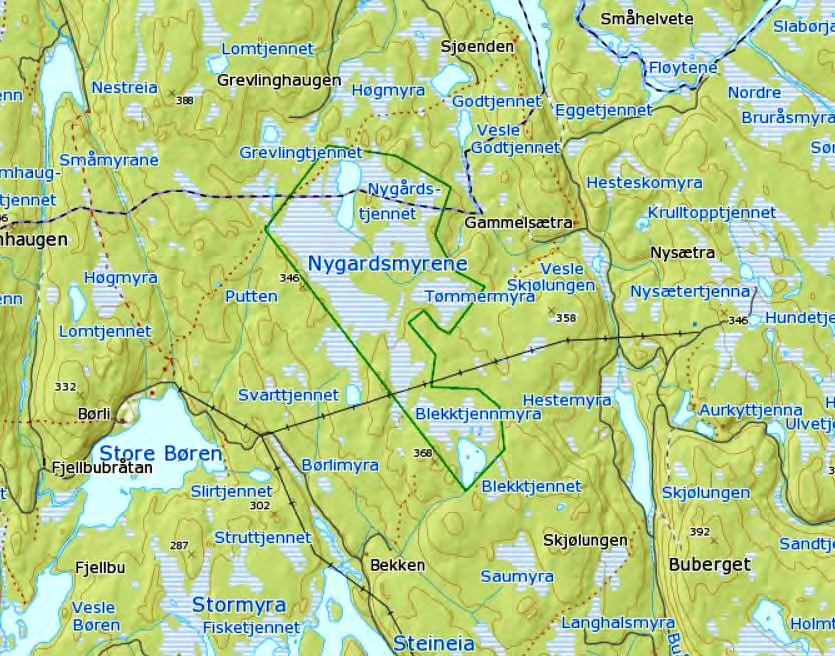 119 Nygårdsmyra Kartblad Kommune Areal Høyde Feltarbeid/oppsyn 2015 II Kongsvinger Eidskog og Sør-Odal 2.634 daa 320-360 m o.h. Jon Bekken, Vidar Lilleseth 28.6.2008, 19.7.2010, 22.6.2011, 7.9. og 5.