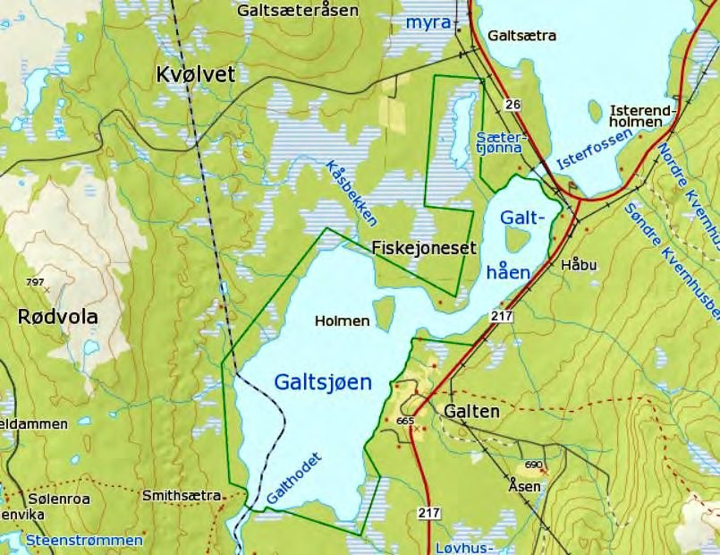 11 Galtsjøen Kartblad 2018 IV Isteren Kommune Engerdal/Rendalen Areal 5.379 daa Høyde Ca. 643-650 m o.h. Feltarbeid Jon Bekken 5.5., 11.6. og 2.-3.7.2007 Andre besøk Edvin Thesen 3.6.2004 Bernt Jarle Vatland 12.