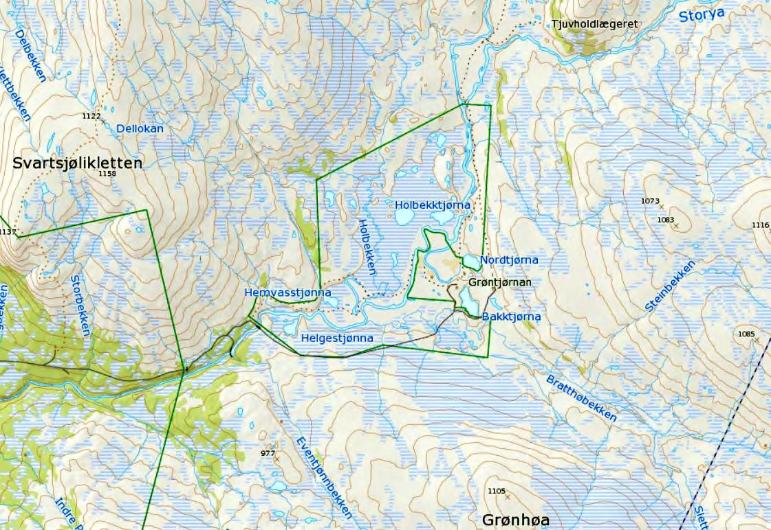 28 Kartgrunnlag: Norgeskart.no rugetid, men noen flere hanner burde det vært. Den 28.7.2005 et kull på minst 2 unger i Holbekktjønna, og et kull trolig denne art i elva ved Heimvasstjønna.