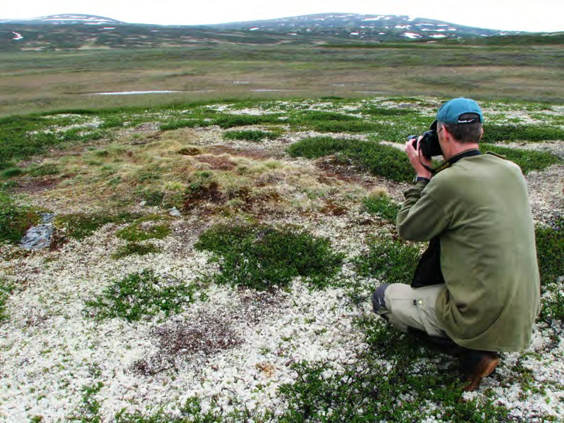 29 Laksand Ikke sett under feltarbeidet, andre har lagt inn til sammen 5 obs. i Artsobservasjoner, av 1-7 ind. Storlom Et ind. sett i Holbekktjern 29. og 30.5.2012.