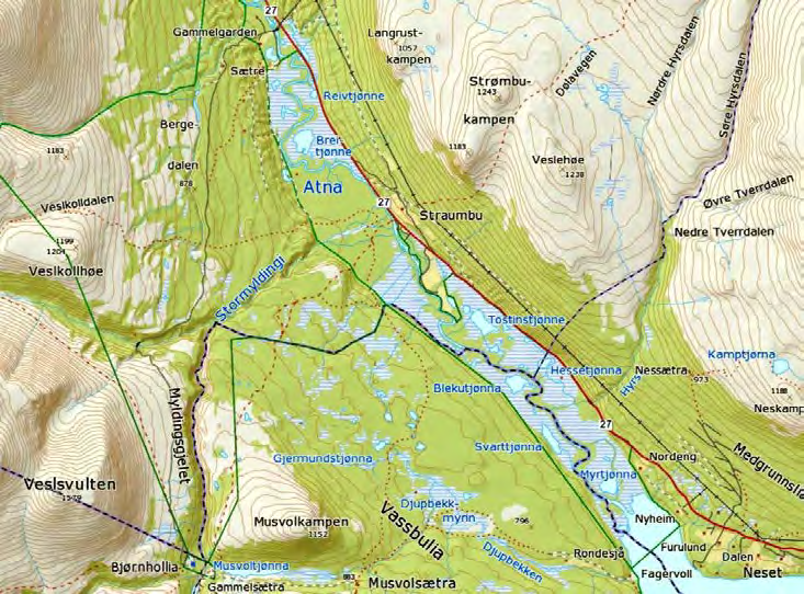 44 Atnsjømyrene Kartblad Kommuner Areal Høyde Undersøkelser 1818 IV Atnsjøen Stor-Elvdal, Folldal, Sør-Fron 5.329 daa 701-740 m o.h. Yngvar Hagen og Edvard K.