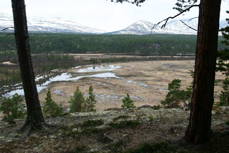 46 Utsyn fra lia over veien i sør, mot delvis oversvømte myrer, elva med bjørkeskog og Svarttjønna 5. mai 2007.