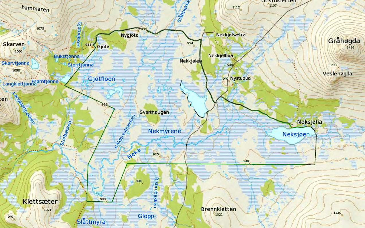 58 Nekmyrene Kartblad 1619 II Tylldal, 1719 III Holøydal Kommune Rendalen Areal 18.739 daa Høyde 880-940 m o.h. Feltarbeid Jon Bekken, Kjell Isaksen 25.-27.6.2007 Andre besøk Kjell Isaksen 10.6. og 7.