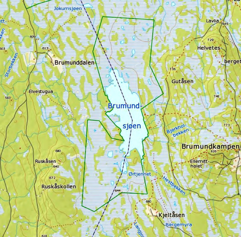 82 Brumundsjøen Kartblad 1917 II Rena, 1917 III Åsmarka Kommune Hamar/Ringsaker Areal 8.204 daa Høyde 633-665 m o.h. Feltarbeid Jon Bekken 18.-19.6. og 13.7.2007 Andre besøk Tore Aspeggen 1. og 15.7.2006 Roar Svenkerud 1.