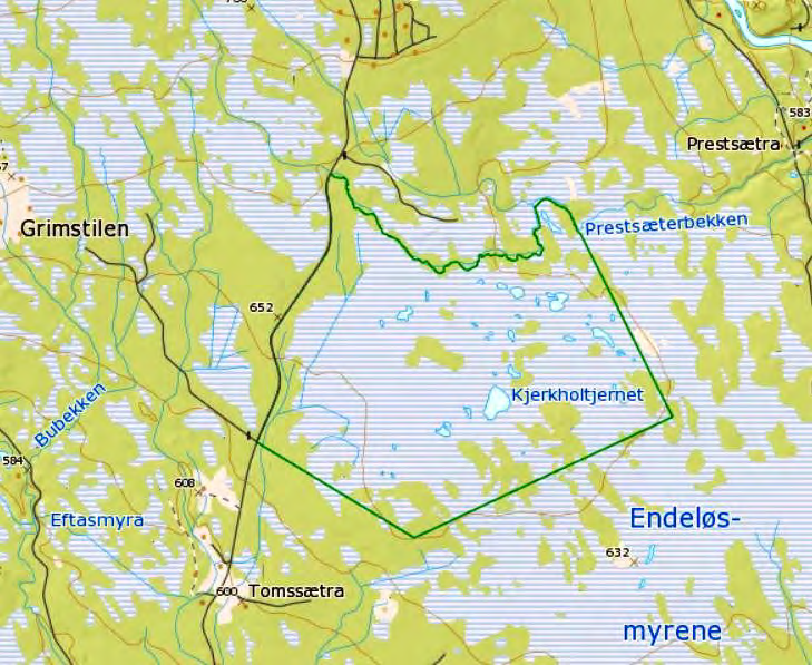 86 Endelausmyrene Kartblad 1917 III Åsmarka Kommune Ringsaker Areal 5.050 daa Høyde 630-650 m o.h. Feltarbeid Jon Bekken 24.6. og 21.7.2008 Andre besøk Arnfinn Tøråsen 16.6.2005 Kjell Isaksen 27.3.2005, 15.