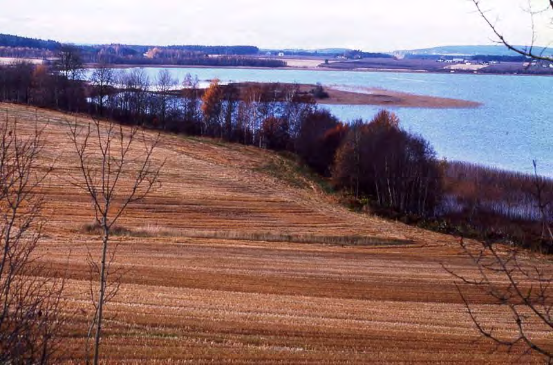 96 2007). Den 19.4.2008 var det 4 par til stede i vestre del av sjøen. Knoppsvanene er usedvanlig synlige, og for årene 2005-12 ble det lagt inn hele 82 obs. i Artsobservasjoner, maks. antall 8 ind.