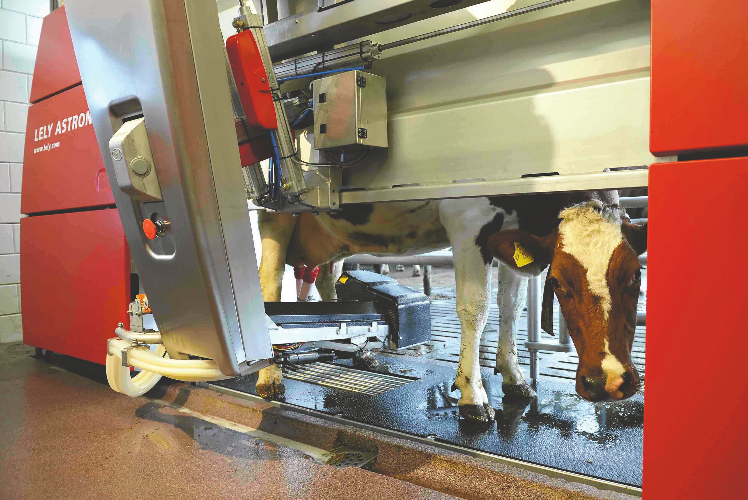 VOL 2 - NR. 22 - JUNI 2016 Foto: Lely Økonomien i robotmelking Det monteres ca. 200 nye melkeroboter i norske fjøs årlig. Kapasiteten til en melkerobot er ca. 60 70 årskyr.