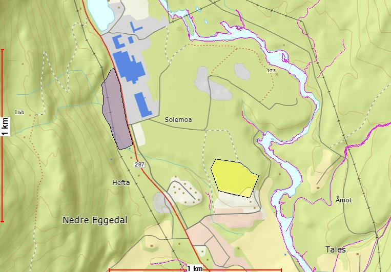 OMRÅDE: Nedre Eggedal N3- Nedre Eggedal Gbnr 123/1 Innspill: 60 Dagens formål: LNF Foreslått formål: Næring Arealstørrelse: 45 daa Moh.