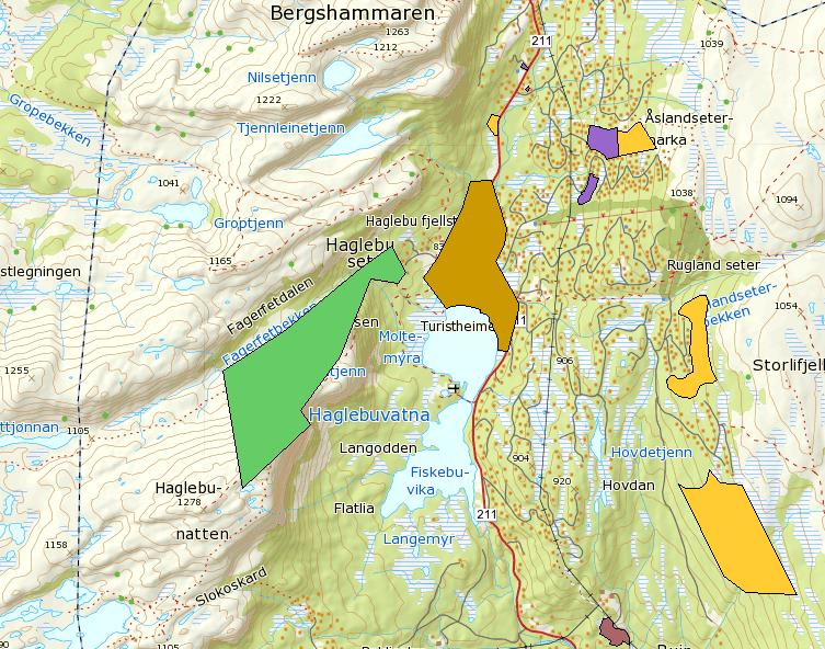 OMRÅDE: Haglebu I 5- Alpinområde (Del av S4) Gbnr 167/4, 451, 756, 24, 1 m.fl.