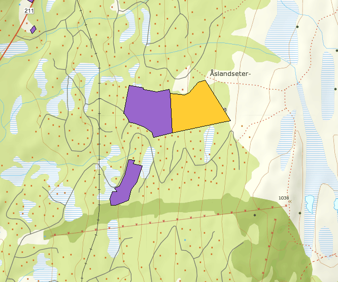 Samfunn Transport/trafikksikkerhet Nær eksisterende vei. Bruk av eksisterende avkjørsel fra Fv 287 til Haglebu Skisenter.