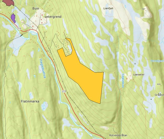 Samfunn Transport/trafikksikkerhet Nær eksisterende vei. Bruk av eksisterende avkjøring til Fv 287 sør for Buin. Krav i eksisterende reguleringsplan for Buinlian om utbedring av krysset.