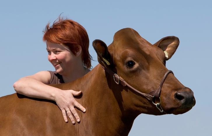 Landbrukets rolle i fred og krise Landbruket produserer mat = matsikkerhet, fra komplett verdikjede Produksjon og foredling over hele landet Familiebruk bosted,