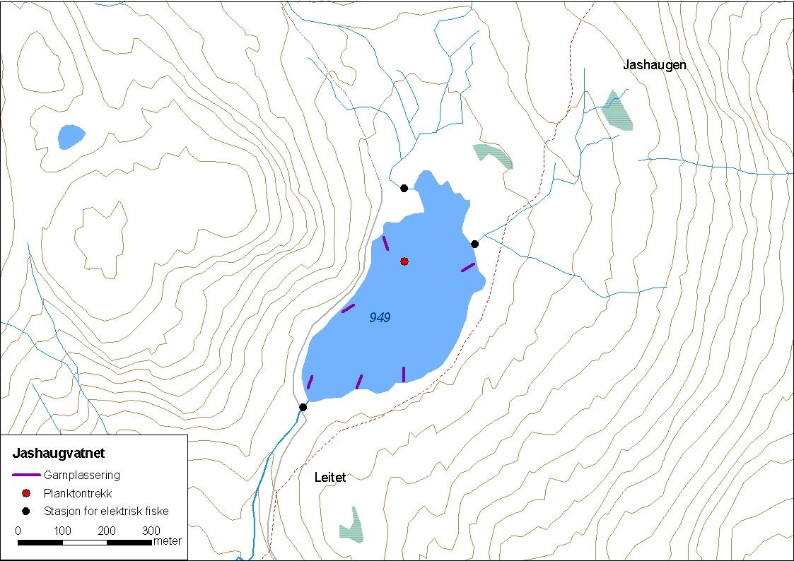 ..3 Jashaugvatnet Jashaugvatnet (innsjønummer 9) ligg i Vik kommune, i Nærøydalsvassdraget (figur ).