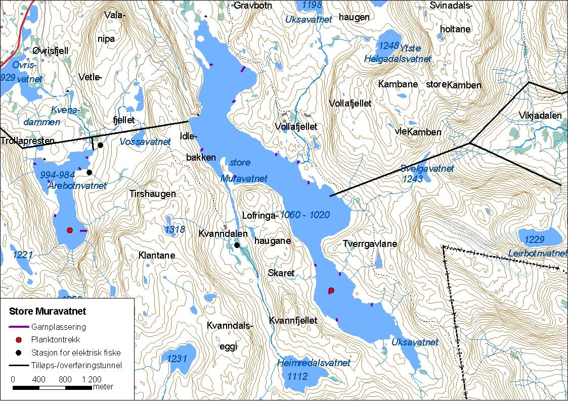 ..7 Store Muravatnet (Muravatnet) Store Muravatnet (innsjønummer 3) ligg i Vik kommune (figur ).