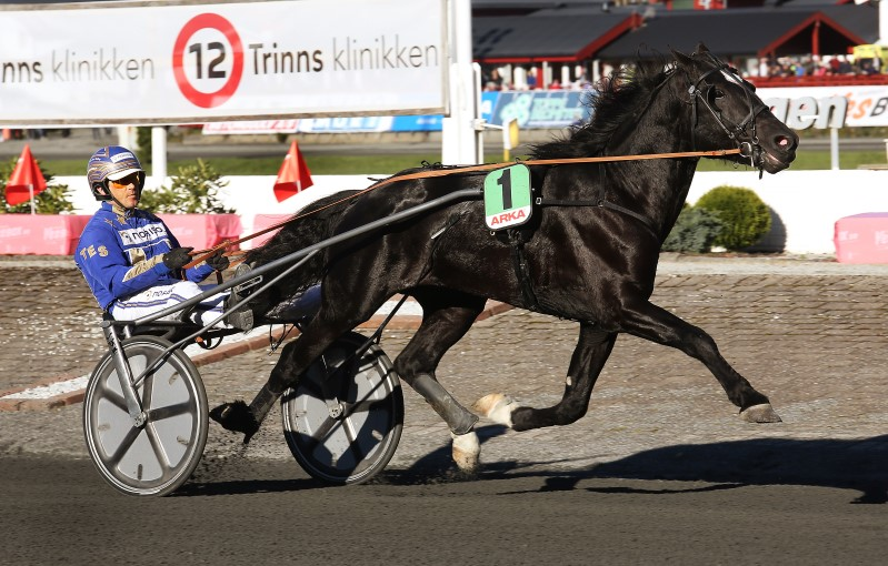 2100 m. Voltestart. Varmblods: 2 år 1.28,0 3 år 1.25,0 4 år og eldre 1.23,0 aldblods: 2 år 1.55,0 3 år 1.50,0 4 år og eldre 1.42,0 Start ca. kl. 18.