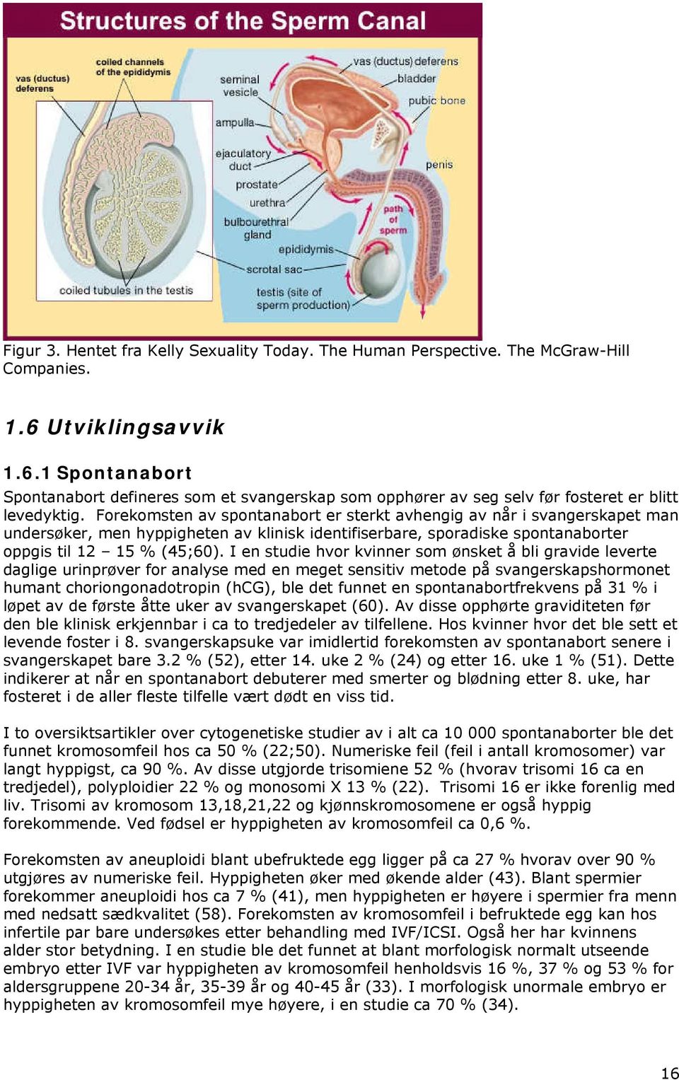 Forekomsten av spontanabort er sterkt avhengig av når i svangerskapet man undersøker, men hyppigheten av klinisk identifiserbare, sporadiske spontanaborter oppgis til 12 15 % (45;60).