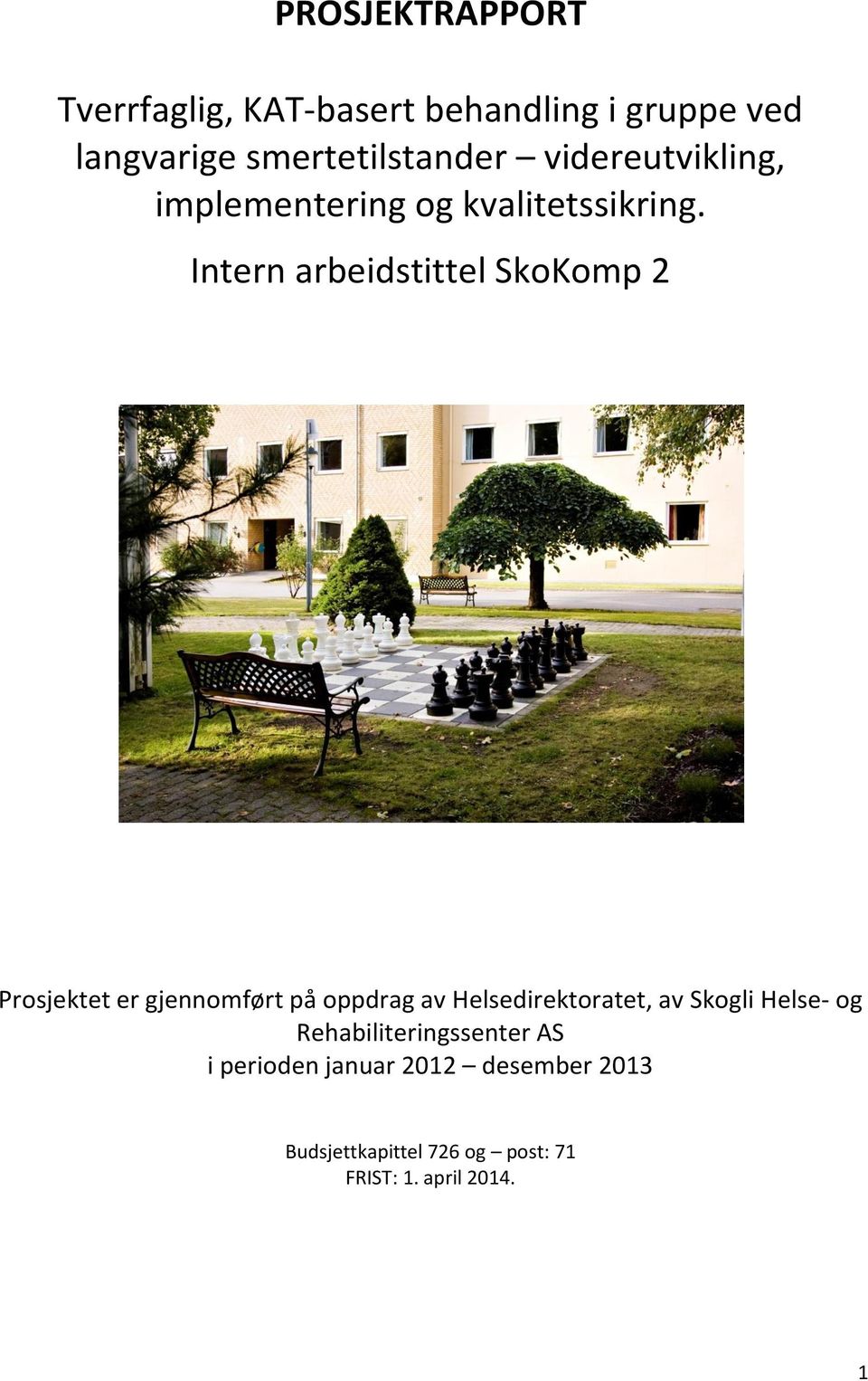 Intern arbeidstittel SkoKomp 2 Prosjektet er gjennomført på oppdrag av Helsedirektoratet, av