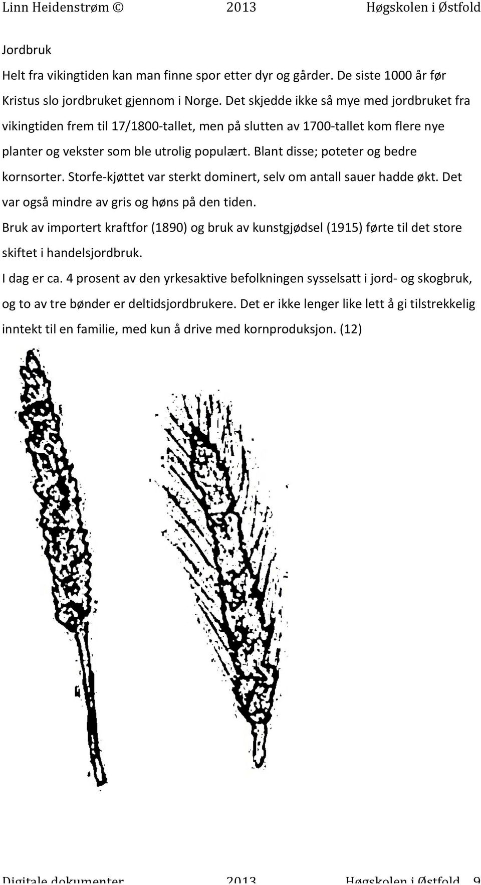 Blant disse; poteter og bedre kornsorter. Storfe- kjøttet var sterkt dominert, selv om antall sauer hadde økt. Det var også mindre av gris og høns på den tiden.