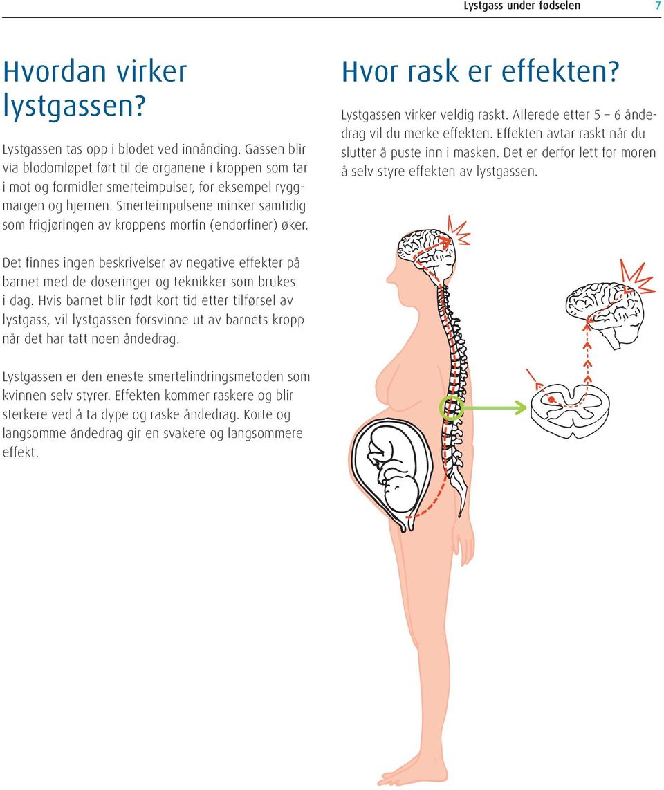 Smerteimpulsene minker samtidig som frigjøringen av kroppens morfin (endorfiner) øker. Hvor rask er effekten? Lystgassen virker veldig raskt. Allerede etter 5 6 åndedrag vil du merke effekten.