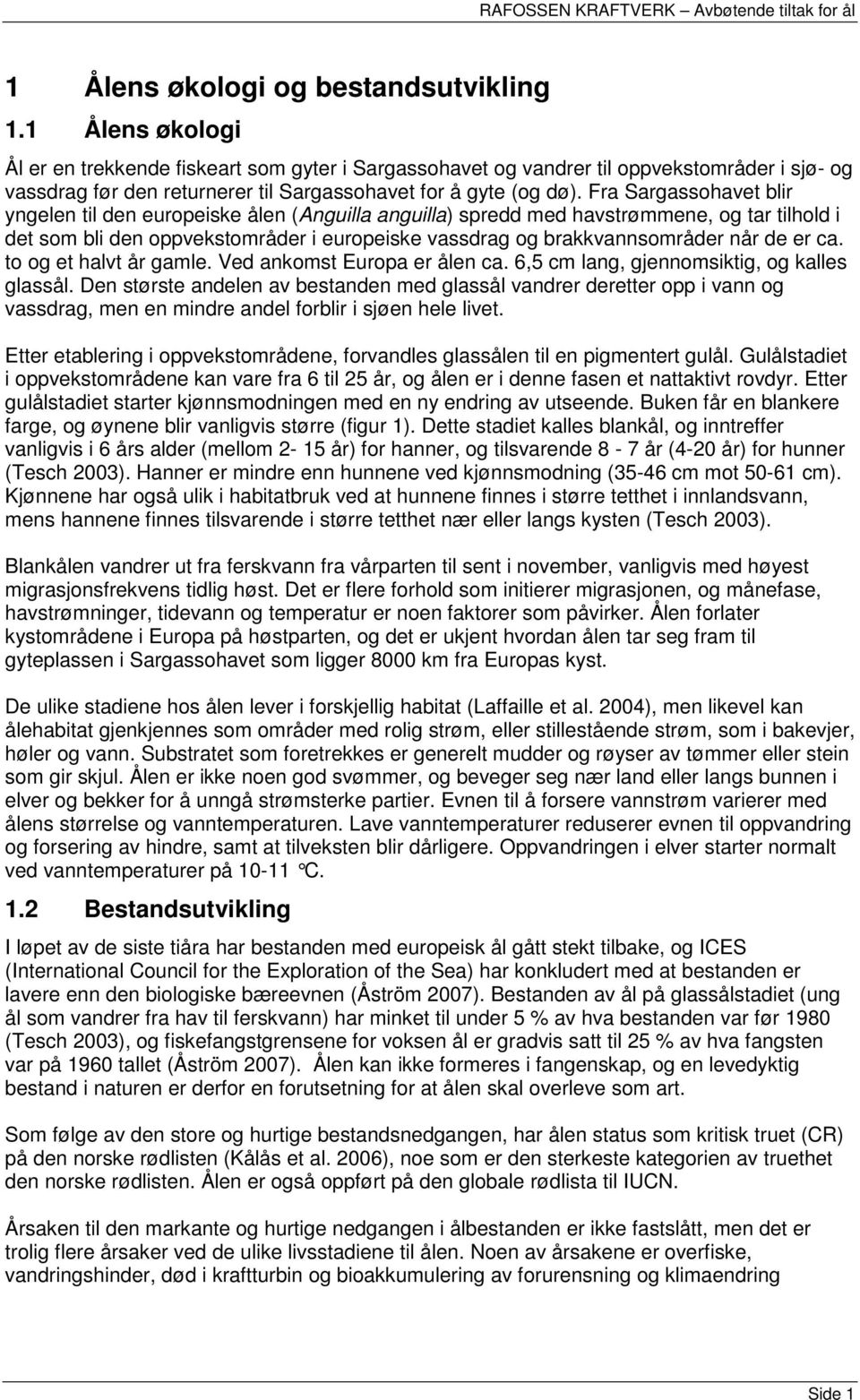 Fra Sargassohavet blir yngelen til den europeiske ålen (Anguilla anguilla) spredd med havstrømmene, og tar tilhold i det som bli den oppvekstområder i europeiske vassdrag og brakkvannsområder når de