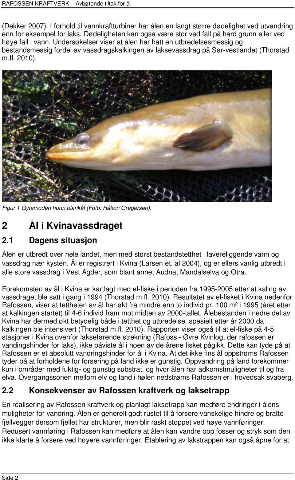 Undersøkelser viser at ålen har hatt en utbredelsesmessig og bestandsmessig fordel av vassdragskalkingen av laksevassdrag på Sør-vestlandet (Thorstad m.fl. 2010).