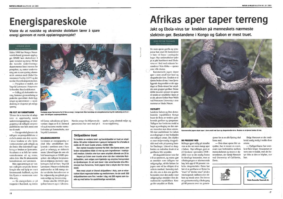 Afrikas aper taper terreng Jakt og Ebota-virus tar knekken på menneskets nærmeste siektnin-ger. Bestandene i Kongo og Gabon er mest truet.