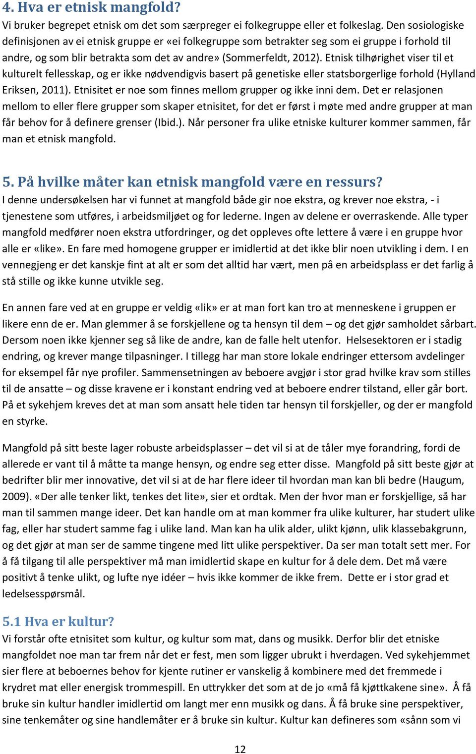 Etnisk tilhørighet viser til et kulturelt fellesskap, og er ikke nødvendigvis basert på genetiske eller statsborgerlige forhold (Hylland Eriksen, 2011).