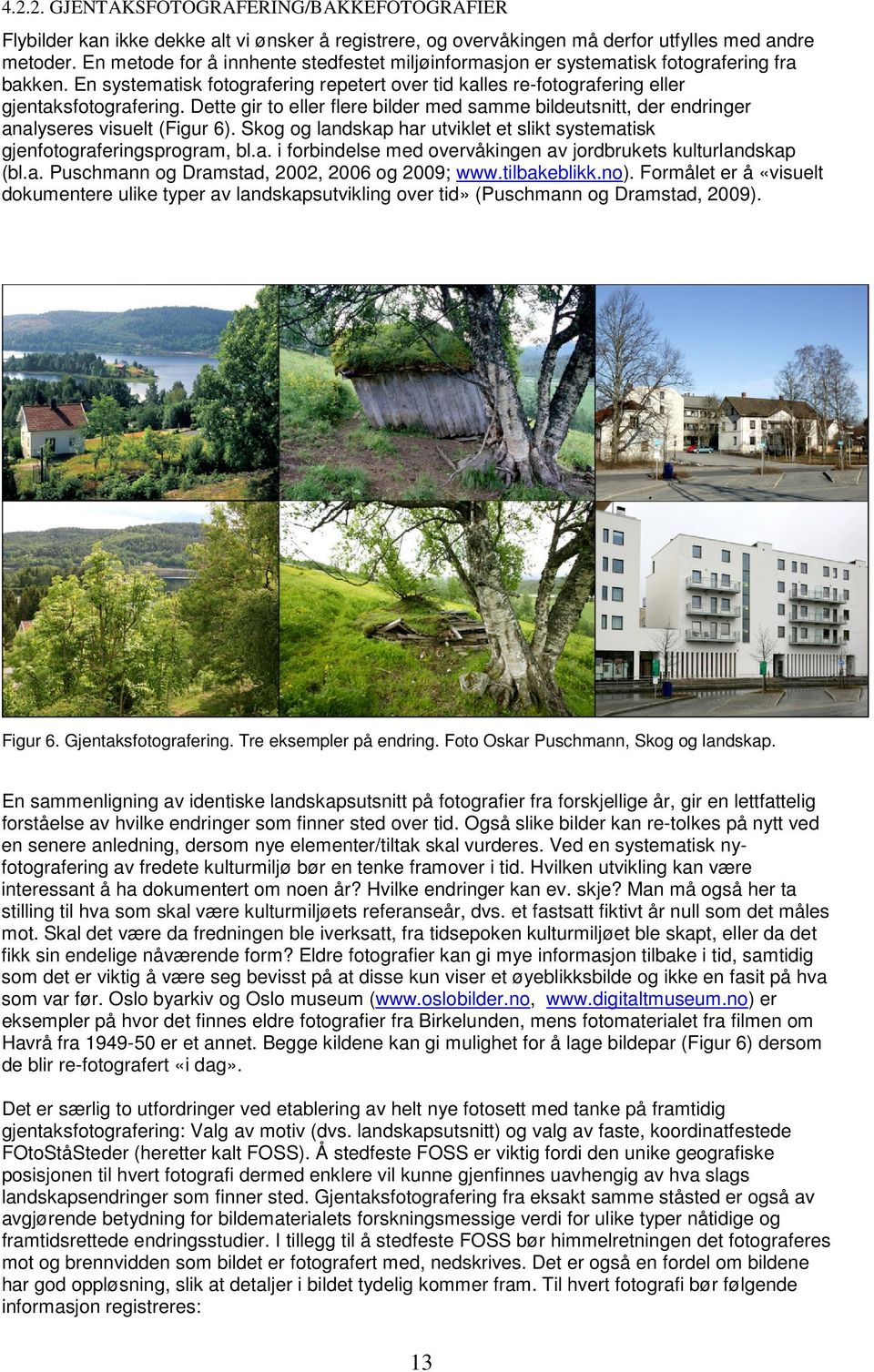 Dette gir to eller flere bilder med samme bildeutsnitt, der endringer analyseres visuelt (Figur 6). Skog og landskap har utviklet et slikt systematisk gjenfotograferingsprogram, bl.a. i forbindelse med overvåkingen av jordbrukets kulturlandskap (bl.