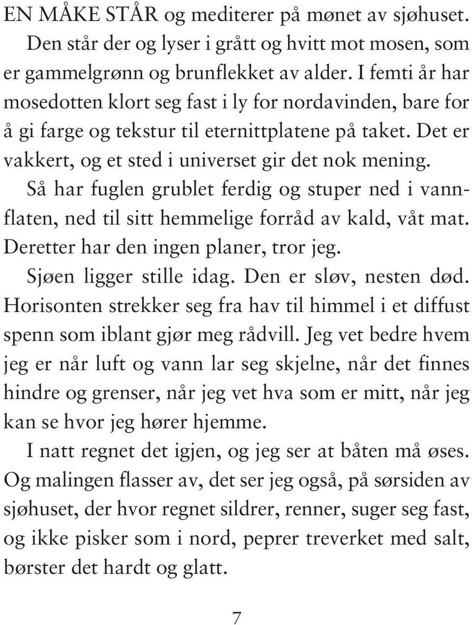 Så har fuglen grublet ferdig og stuper ned i vannflaten, ned til sitt hemmelige forråd av kald, våt mat. Deretter har den ingen planer, tror jeg. Sjøen ligger stille idag. Den er sløv, nesten død.