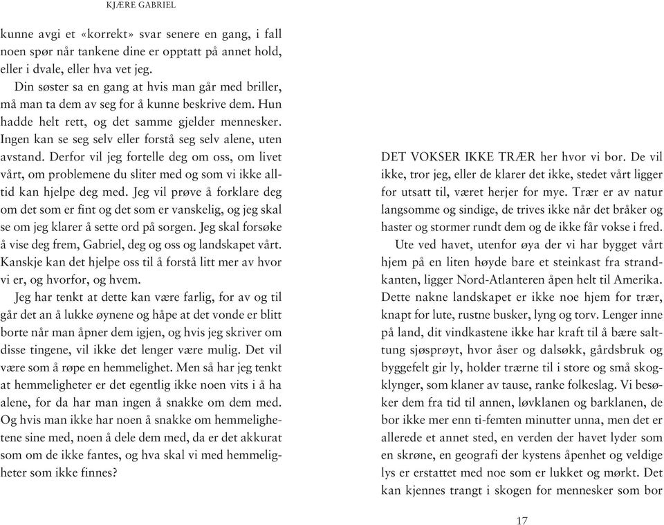 Ingen kan se seg selv eller forstå seg selv alene, uten avstand. Derfor vil jeg fortelle deg om oss, om livet vårt, om problemene du sliter med og som vi ikke alltid kan hjelpe deg med.