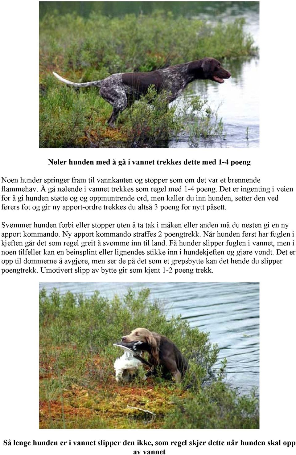 Det er ingenting i veien for å gi hunden støtte og og oppmuntrende ord, men kaller du inn hunden, setter den ved førers fot og gir ny apport-ordre trekkes du altså 3 poeng for nytt påsett.