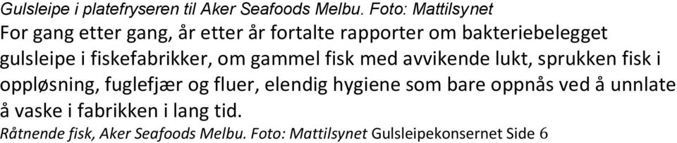 fiskefabrikker, om gammel fisk med avvikende lukt, sprukken fisk i oppløsning, fuglefjær og fluer,