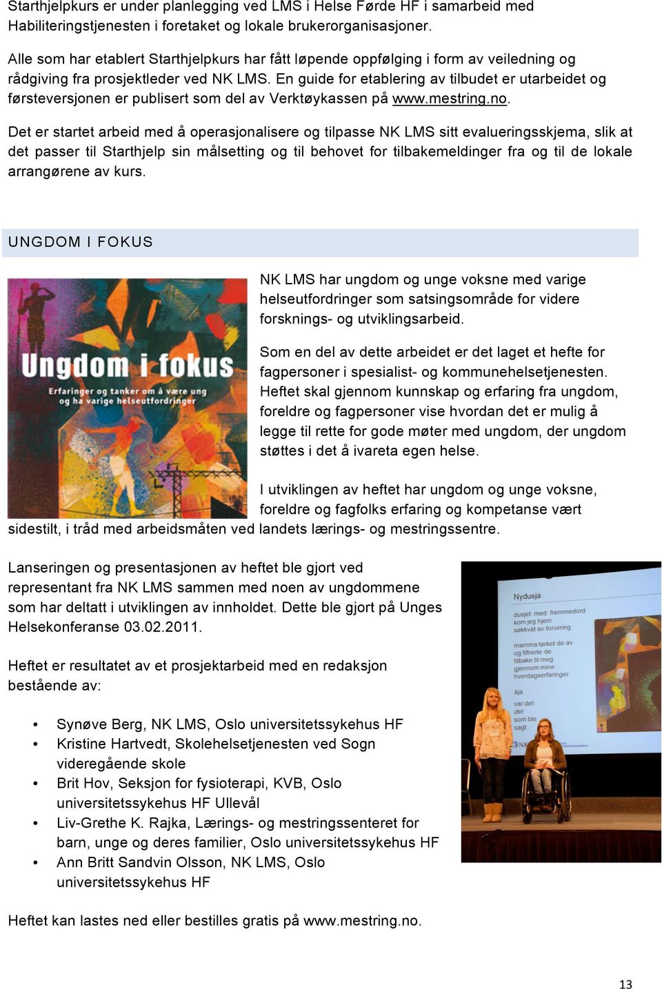 En guide for etablering av tilbudet er utarbeidet og førsteversjonen er publisert som del av Verktøykassen på www.mestring.no.