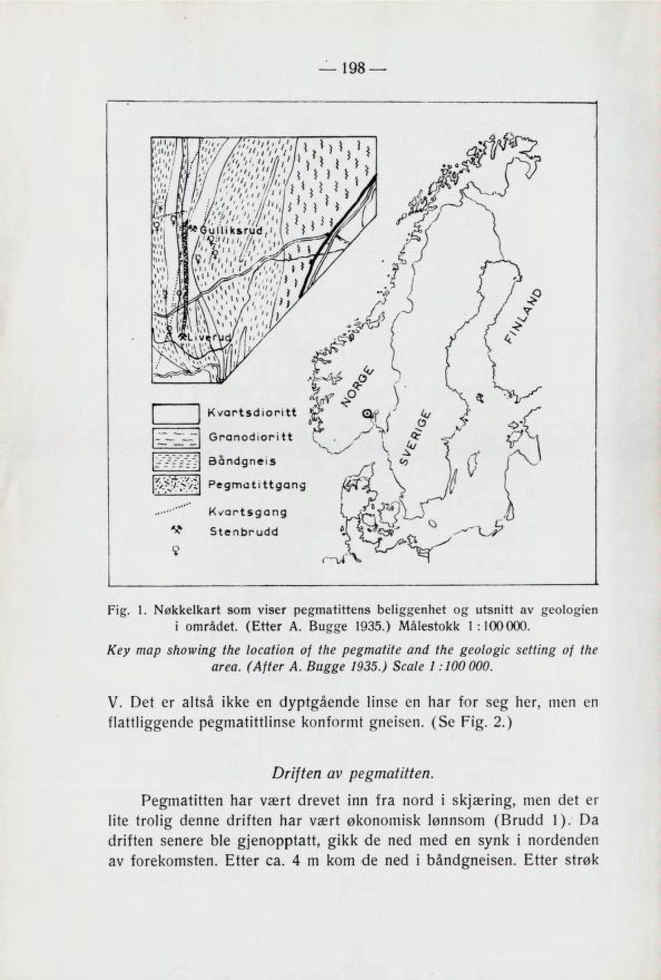 Det er altså ikke en dyptgående linse en har for seg her, men en flattliggende pegmatittlinse konformt gneisen. (Se Fig. 2.) Driften av pegmatitten.