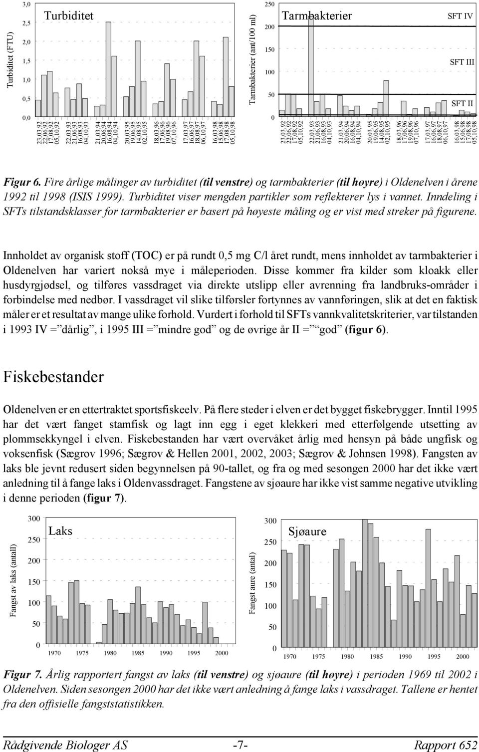 Fire årlige målinger av turbiditet (til venstre) og tarmbakterier (til høyre) i Oldenelven i årene 199 til 1998 (ISIS 1999). Turbiditet viser mengden partikler som reflekterer lys i vannet.