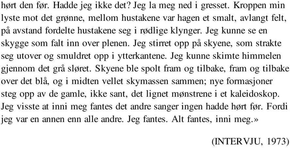 Jeg kunne se en skygge som falt inn over plenen. Jeg stirret opp på skyene, som strakte seg utover og smuldret opp i ytterkantene. Jeg kunne skimte himmelen gjennom det grå sløret.