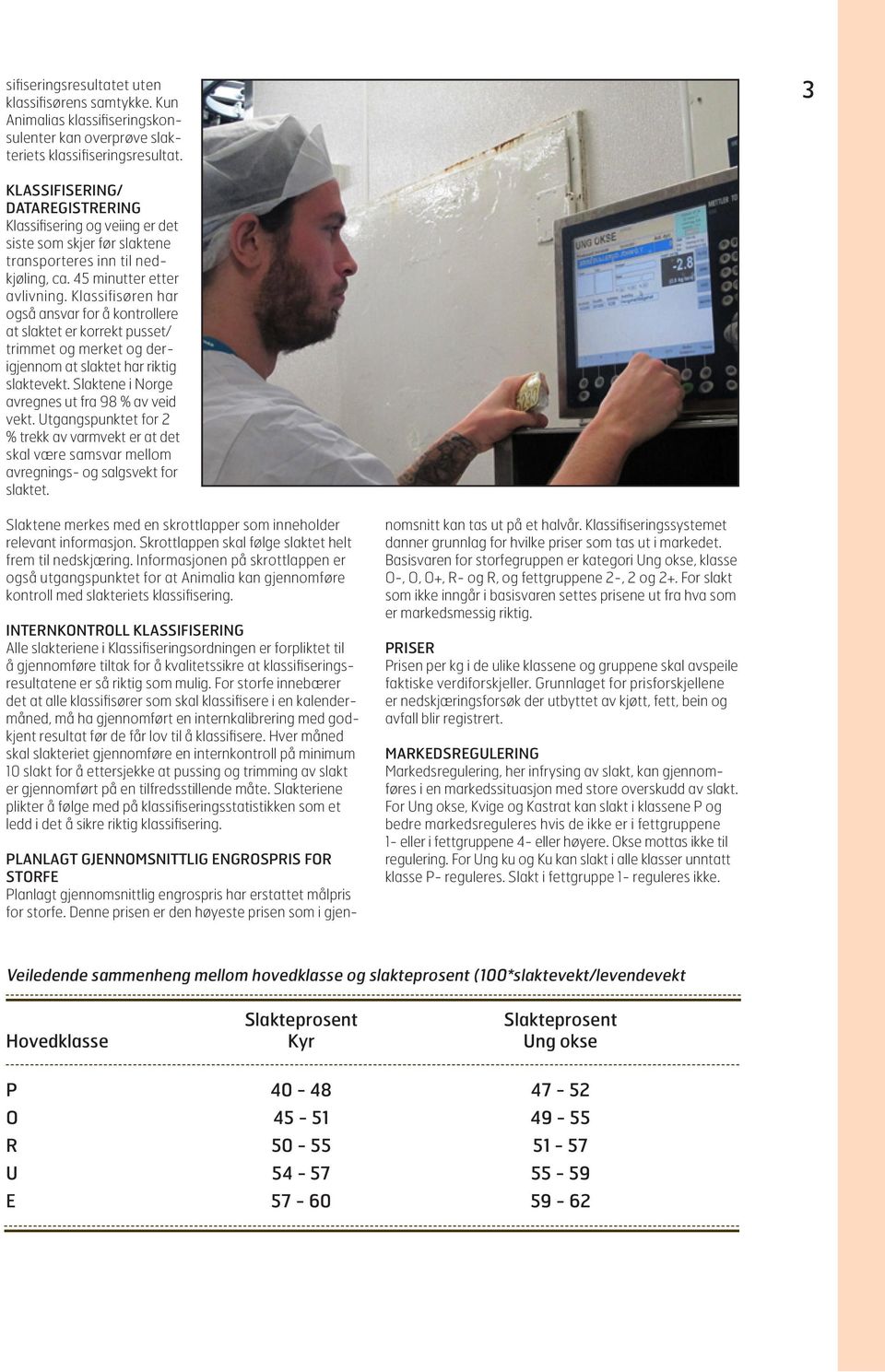 Klassifisøren har også ansvar for å kontrollere at slaktet er korrekt pusset/ trimmet og merket og derigjennom at slaktet har riktig slaktevekt. Slaktene i Norge avregnes ut fra 98 % av veid vekt.